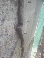 castlepark gate - 11435.jpg